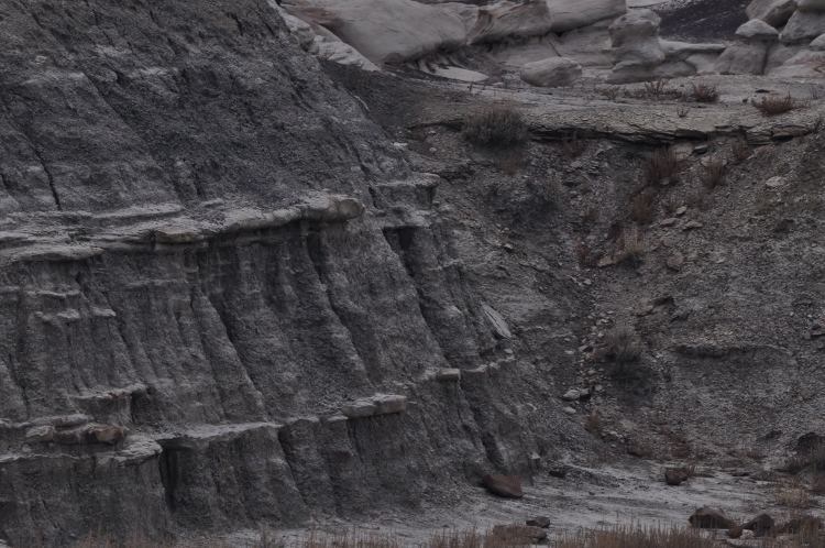 bisti wilderness